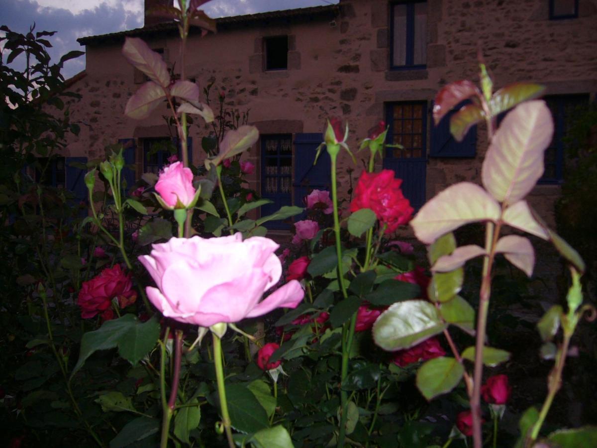 La Petite Vallee Bed & Breakfast La Chapelle-Largeau Exterior photo